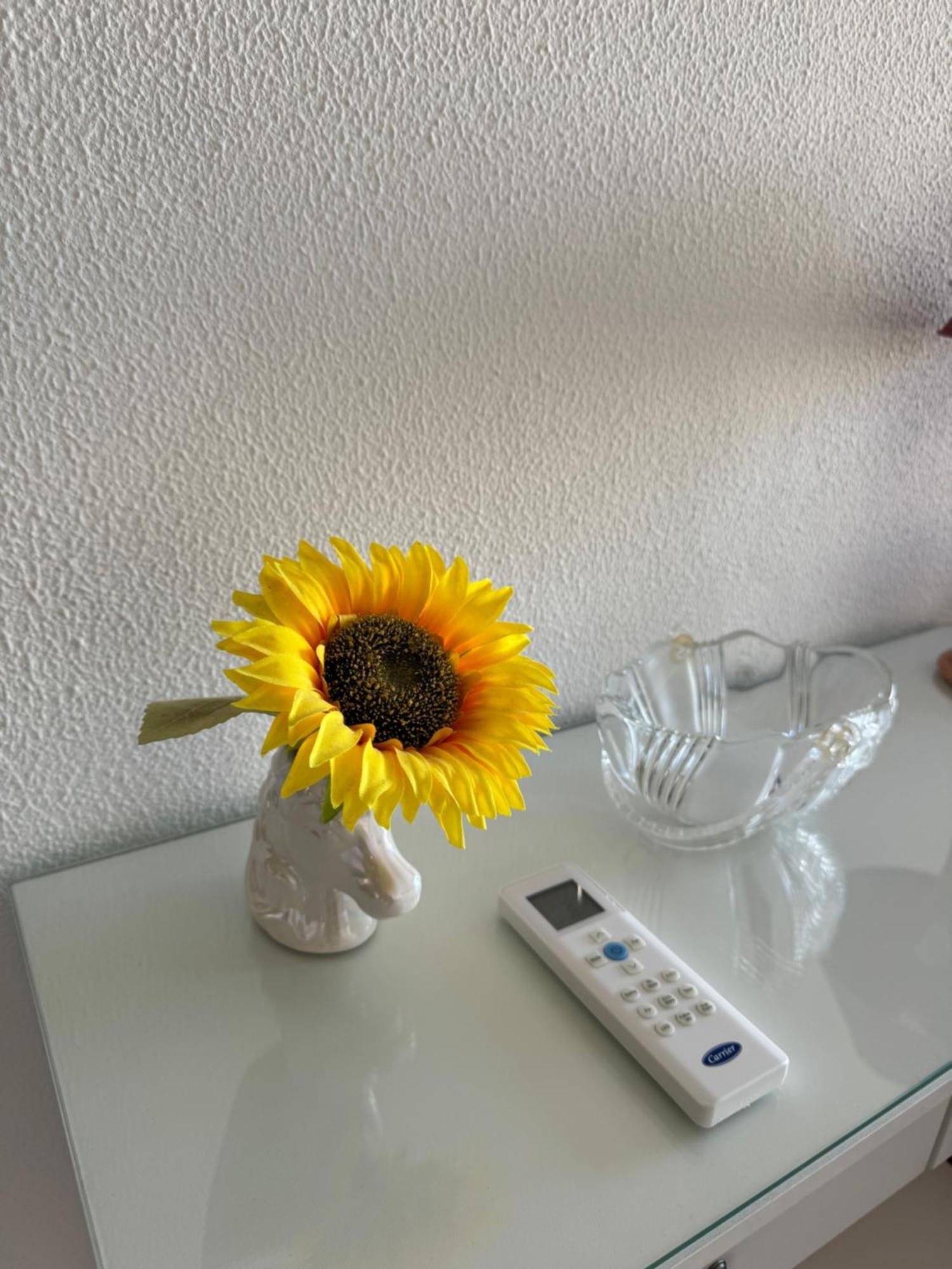Apartment Algarve - Beach Front - Free Wifi - Air Con Armação de Pêra Exterior foto